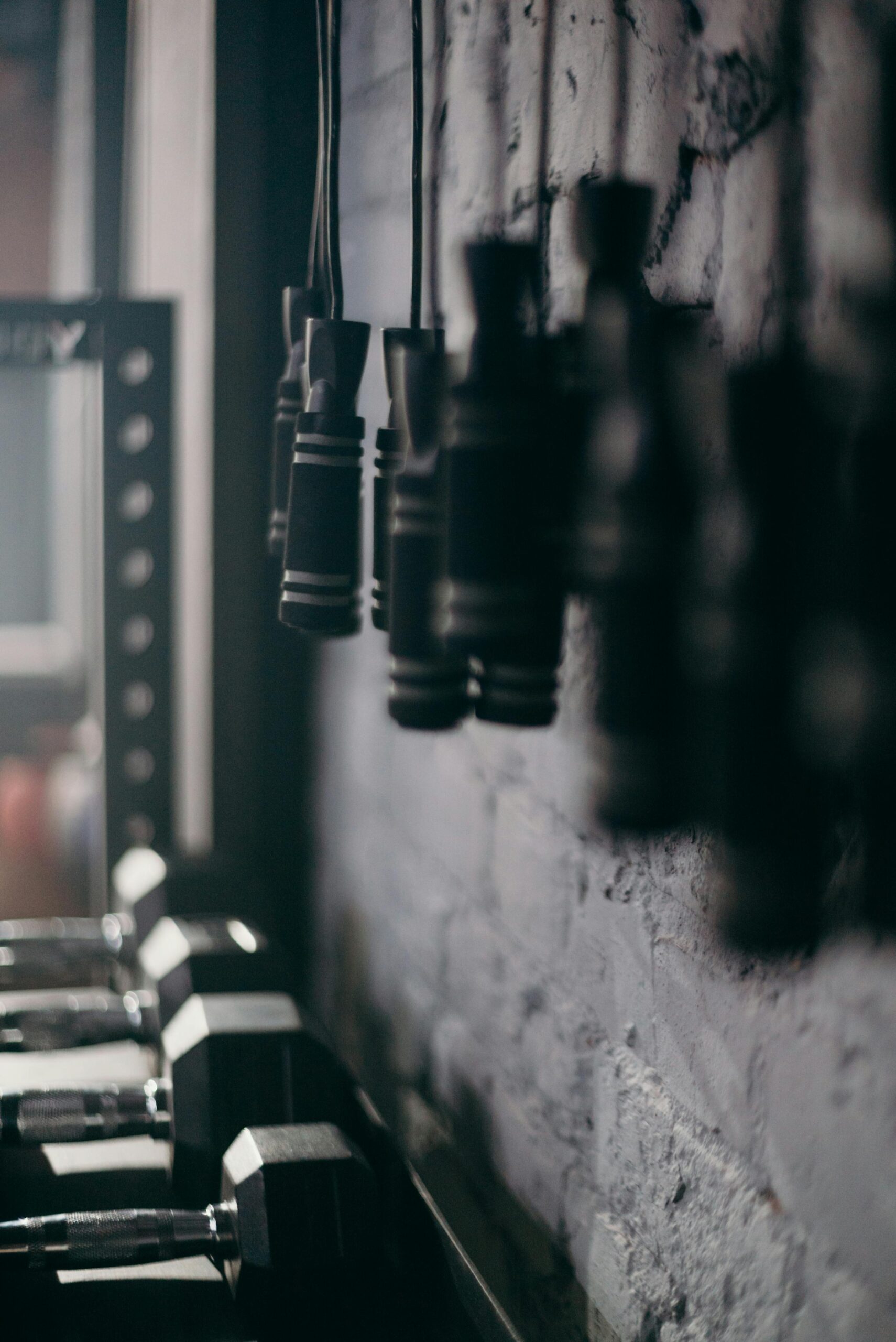 Close-up of gym equipment including dumbbells and jump ropes on a rack.